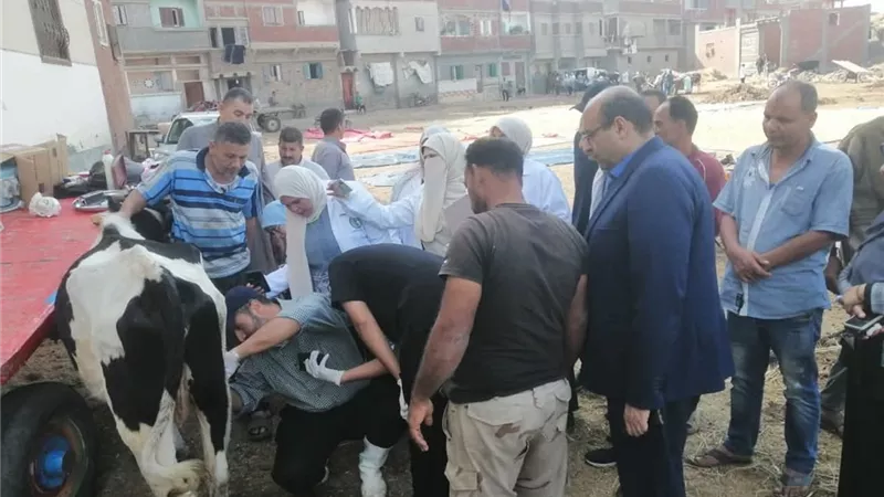 قافلة بيطرية مجانية بقرية شرباص لخدمة المربين وصغار الفلاحين بدمياط