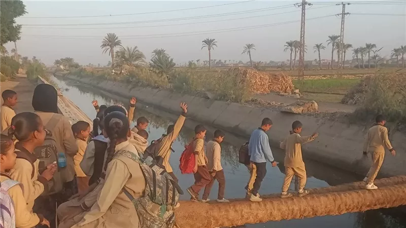 بيعدوا الترعة على جذع نخلة.. كارثة تهدد حياة تلاميذ قرية الإسكندرية بأسيوط