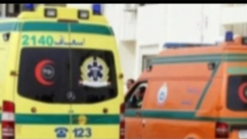 مصرع 3 أشخاص من أسرة واحدة بالبحيرة جراء حادث سير بطريق شبرا