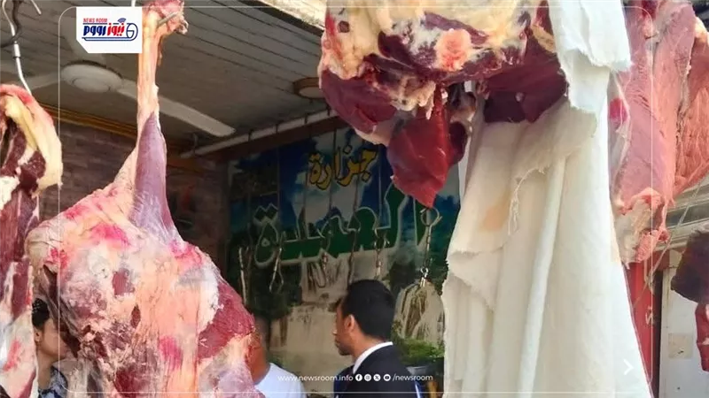 تحرير 272 مخالفة تموينية وضبط سلع مدعمة قبل بيعها في السوق السوداء بالمنيا