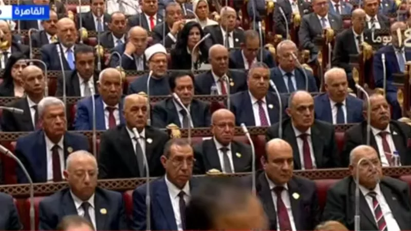 14 لجنة نوعية بمجلس الشيوخ لمساندة العمل التشريعي والرقابي قبيل دور الانعقاد