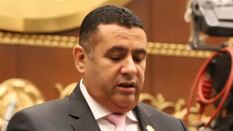 أسامة مدكور: زيارة الرئيس للإمارات تؤكد تماسك الصف العربي في مواجهة التحديات 
