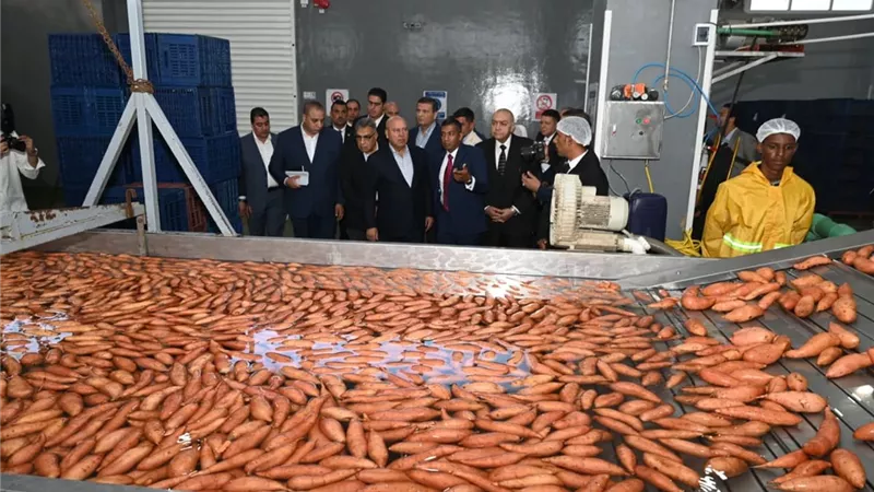 كامل الوزير يفتتح مصنعاً لتصدير الحاصلات الزراعية و3 خطوط إنتاج دوائية