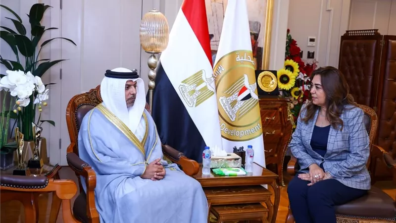  وزيرة التنمية المحلية تستقبل سفير الإمارات الجديد بالقاهرة لبحث سبل التعاون
