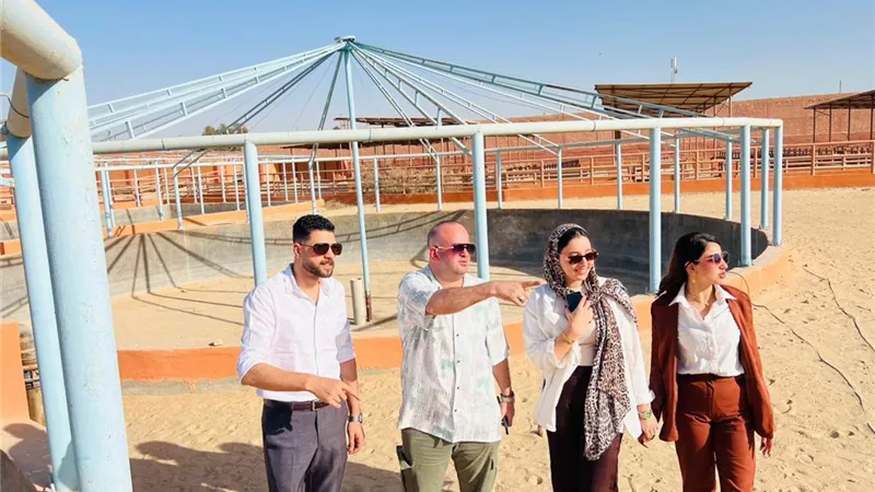 أفرولاند المتكامل.. مؤسسة أفرولاند للتنمية تطلق مشروع لتعزيز الأمن الغذائي