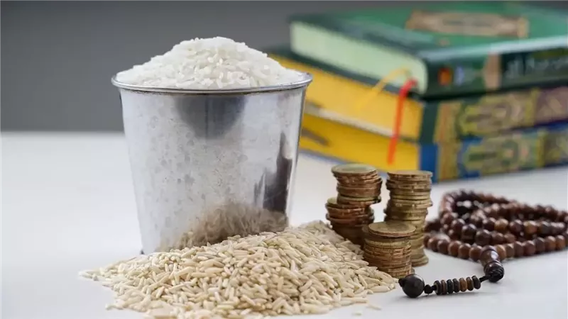 فضل إخراج الزكاة في موعدها وتأثيرها على الإنسان.. أمينة الفتوى تُوضح 