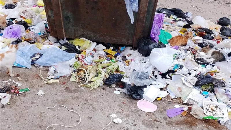 “الريحة بقت خانقة”.. أزمة قمامة تضرب منطقة الأعصر وتهدد صحة الأطفال والسكان