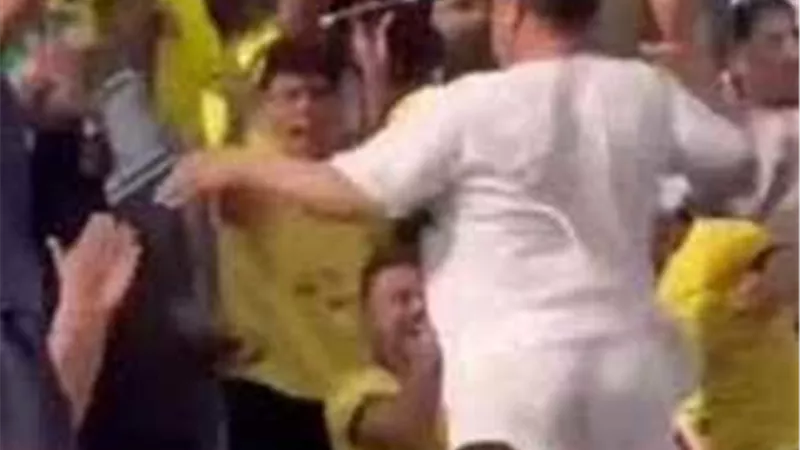 18 نوفمبر النطق بالحكم على مشجع نادى مالية كفر الزيات بعد واقعة رقصه فى المدرج