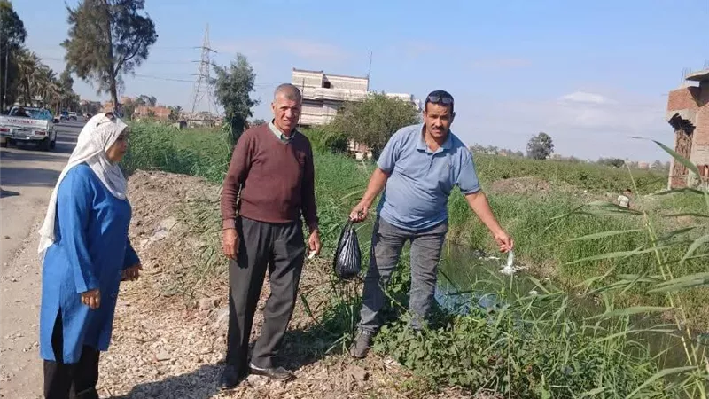زراعة الشرقية تستكمله أعمال الحملة القومية لمكافحة القوارض