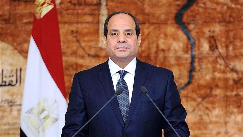 نواب: القيادة السياسية لمصر أعادت الزخم للمسار السياسي والإنساني في غزة
