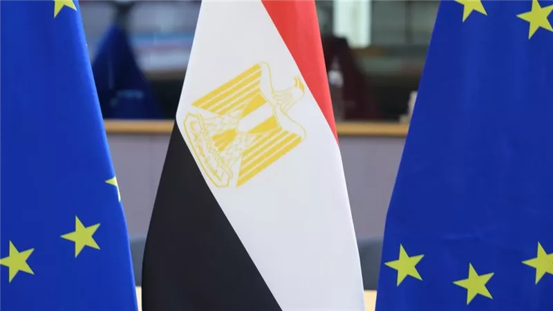 مسؤول: الاتحاد الأوروبي سيمنح مصر بـ90 مليون يورو لتطوير شبكة الكهرباء والطاقة
