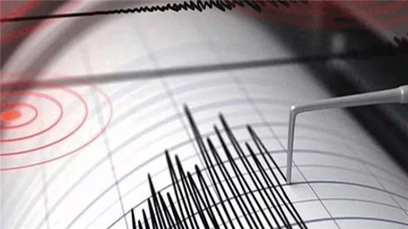 هل تشعر الحيوانات بالزلزال قبل وقوعه؟.. رئيس قسم الزلازل يحسم الجدل