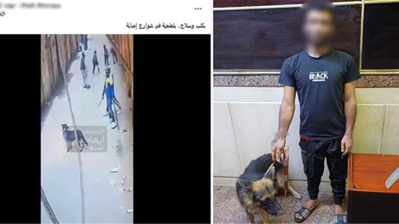 الأمن يكشف تفاصيل واقعة البلطجة في الجيزة.. ضبط المتهم مع سلاحه والكلب