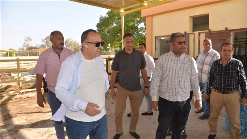 محافظ أسيوط يتابع تطوير مشروعات الإنتاج الحيواني بعرب مطير والعوامر
