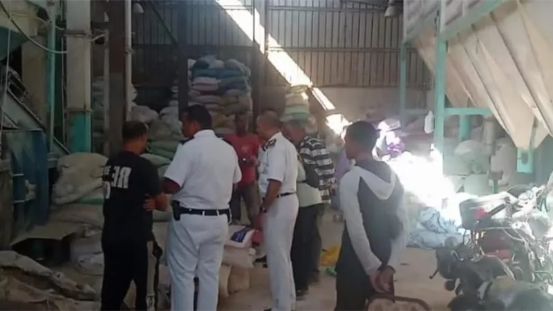 حملة مفاجئة تضبط 50 طن أعلاف فاسدة في الغربية.. والزراعة تكشف التفاصيل