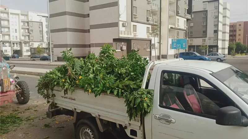 حملة مكبرة لصيانة وتجميل «سكن مصر» في الشروق.. التفاصيل