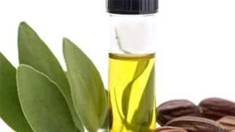 هل تستخدمين زيت الشعر بطريقة صحيحة؟ إليك أبرز 5 أخطاء يجب تصحيحها
