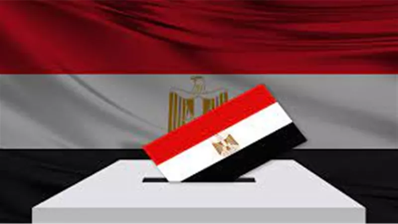 سفير مصر في موريتانيا: العملية الانتخابية تسير بسلاسة ونشكر الدعم الفني