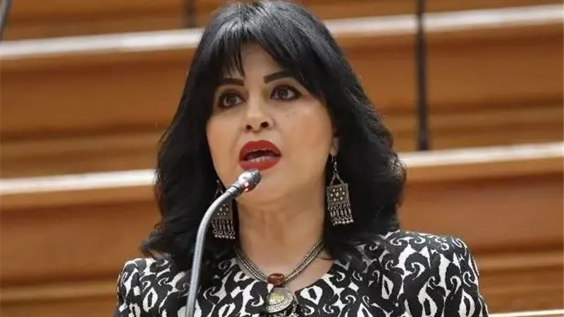 النائبة هند رشاد تشدد على أهمية تعزيز الثقافة الرقمية لدى الشباب 