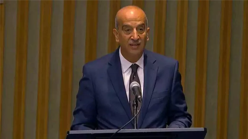 مندوب مصر بالأمم المتحدة: نعيش في عالم شحيح الموارد ويجب إصلاح مجلس الأمن