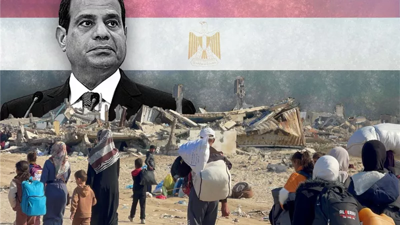 هبة القدسي: اختيار واشنطن للسفير ستيفن فاجن يعكس توجهًا جديدًا للشرق الأوسط
