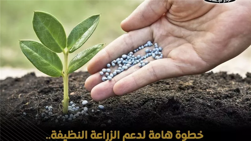 يحمي النخيل ومحصول الذرة .. تسجيل مركبين حيويين جديدين لمكافحة الآفات الزراعية