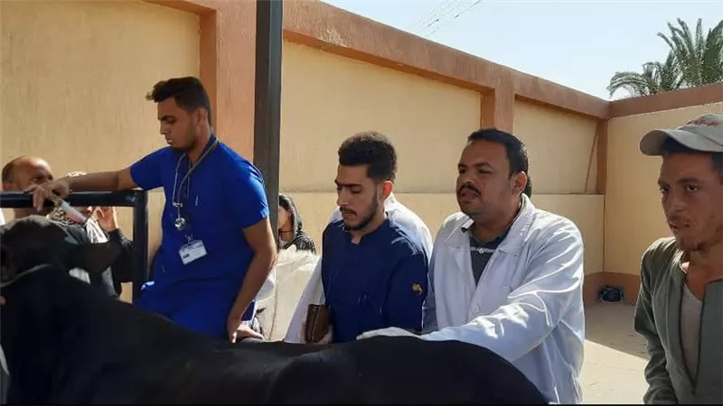 بدء الحملة القومية الثالثة للتحصين ضد الحمي القلاعية والوادي بأسيوط