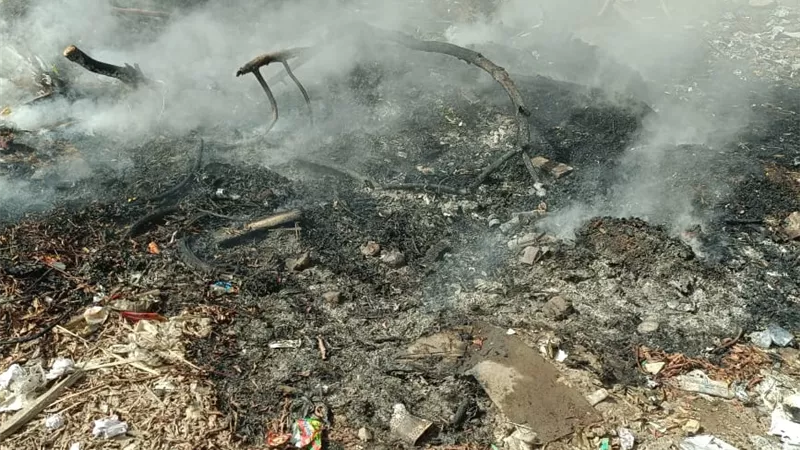 السيطرة على حريق بمخلفات أشجار في مجمع معاهد بالقليوبية دون خسائر