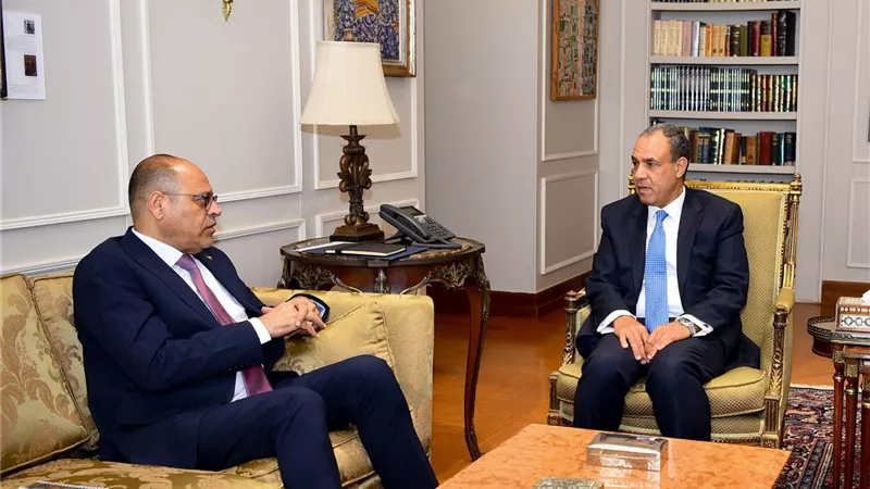 وزيرا الخارجية والعمل يناقشان مسألتي الهجرة والعمالة المصرية بالخارج