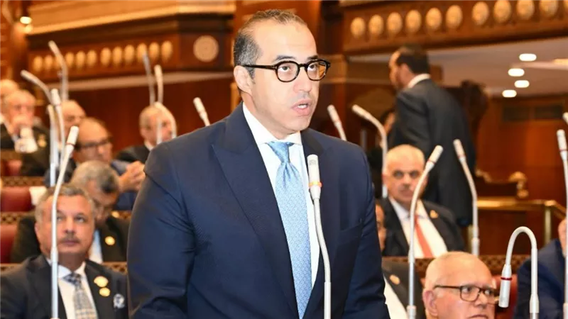 محمود فوزي لأعضاء مجلس الشيوخ: أجدد تأكيد الحكومة على استمرار التعاون البنّاء