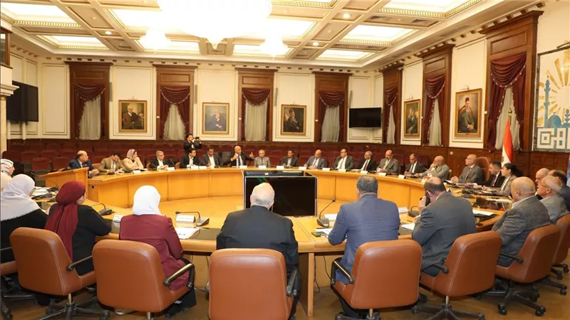 محافظة القاهرة تتزين لاستقبال ضيوف حفل افتتاح المتحف المصري الكبير |فيديو