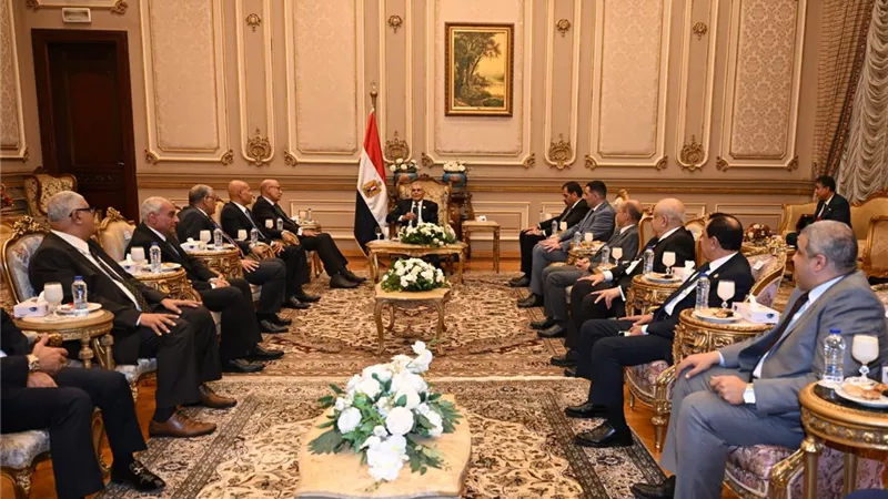 رئيس مجلس القضاء الأعلى يهنئ عصام فريد برئاسة الشيوخ