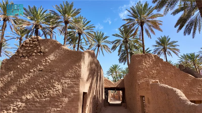 في اليوم العالمي للتراث غير المادي.. مصر تحتفي بإبداعها الشعبي وتؤكد ريادتها 