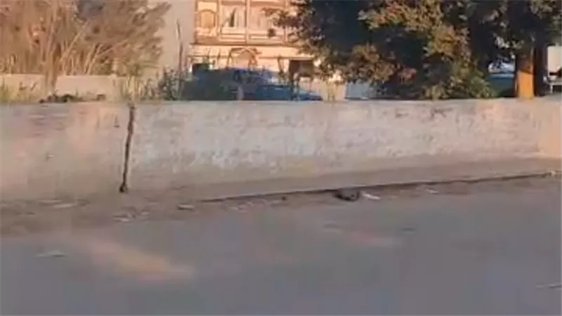 حياة المئات في خطر.. أهالي دمياط يطالبون بسرعة إصلاح كوبري البخاري| بث مباشر