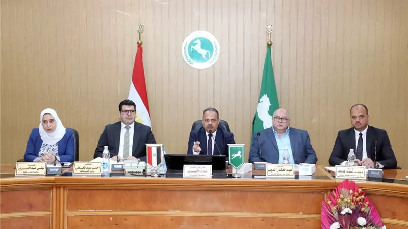 محافظ الشرقية يترأس اجتماع المجلس التنفيذى ويكرم عدد من القيادات