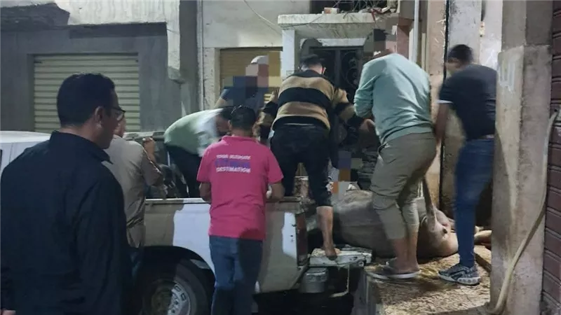ضبط سلخانة مخالفة وأختام مزورة للحوم في شبين الكوم بمحافظة المنوفية