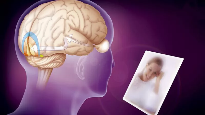 طفرة علمية.. علماء يكتشفون مؤشرًا بيولوجيا لتسارع شيخوخة الدماغ