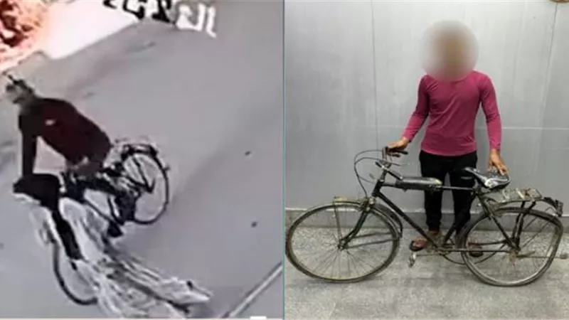 فيديو مثير.. لص بدراجة هوائية يخطف هاتفًا من فتاة في الإسماعيلية