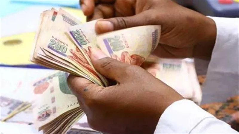 تعويض البطالة وضوابط الصرف.. اعرف التفاصيل بقانون التأمينات