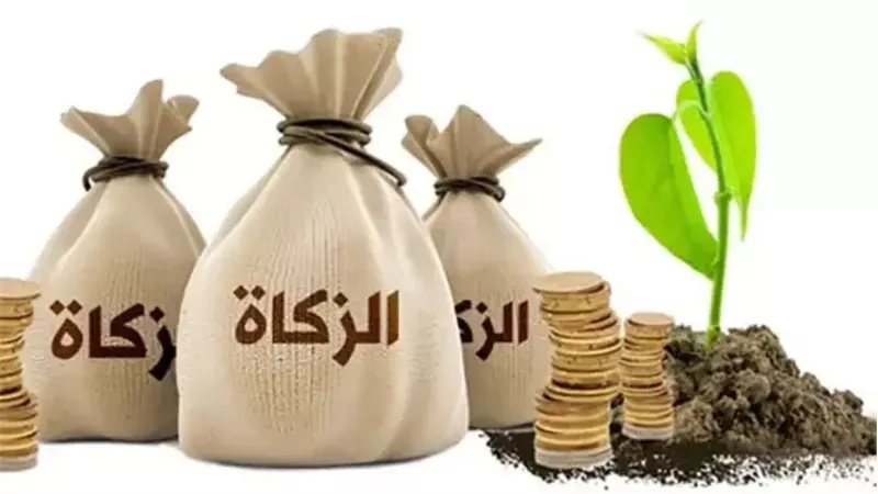 هل تجب الزكاة على الأرض المستأجرة؟.. الإفتاء توضح من يدفعها وكيف تحسب