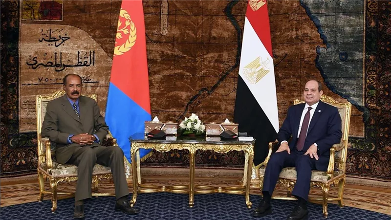علي فوزي يكشف دلالات زيارة الرئيس الإريتري للقاهرة