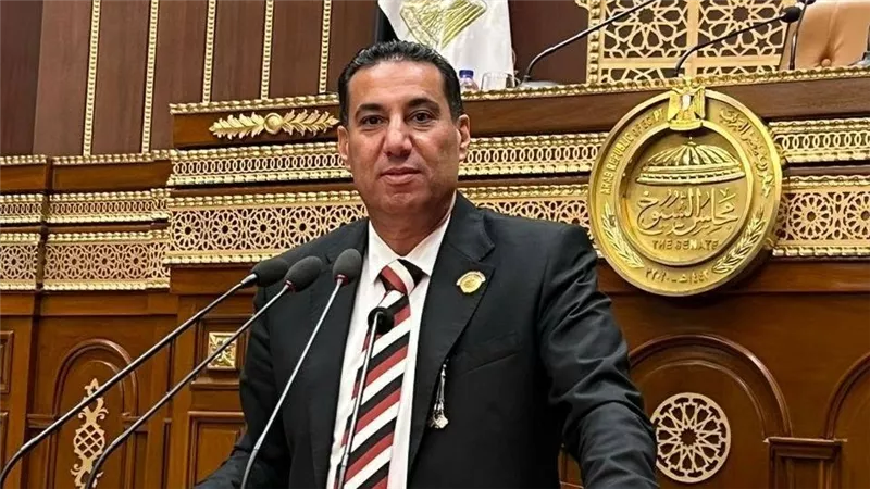 محمود يوسف لطيف: المتحف المصري الكبير نموذج للدبلوماسية الثقافية 