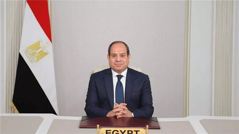 الرئيس السيسي يطالب الوطنية للانتخابات بالتحقيق في وقائع ما جري ببعض اللجان 