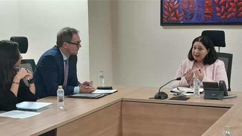 نائبة وزيرة التضامن تلتقي رئيس التعاون الإنمائي الألماني بسفارة ألمانيا