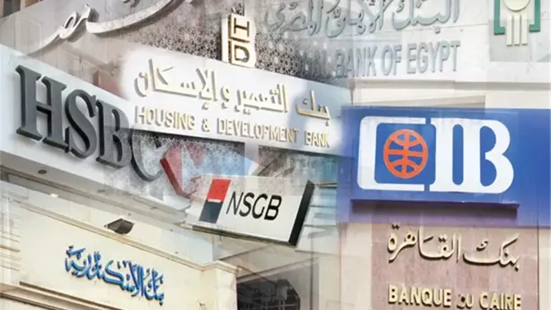خبير: سوق الإنتربنك يعكس قوة الجهاز المصرفي ودوره حيوي في ضبط السيولة 