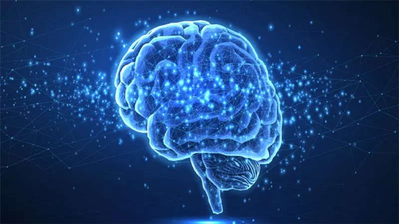 حسب بحث جديد.. الأطعمة السريعة الأكثر ضررًا للدماغ