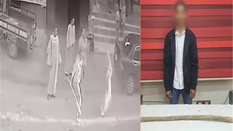 اعتدى على ربة منزل بعصا خشبية.. القبض على عامل في الفيوم 