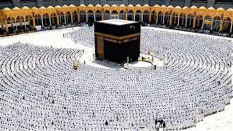 «التضامن»: 36 ألف متقدم لموسم حج 1447هـ.. القاهرة تتصدر المحافظات