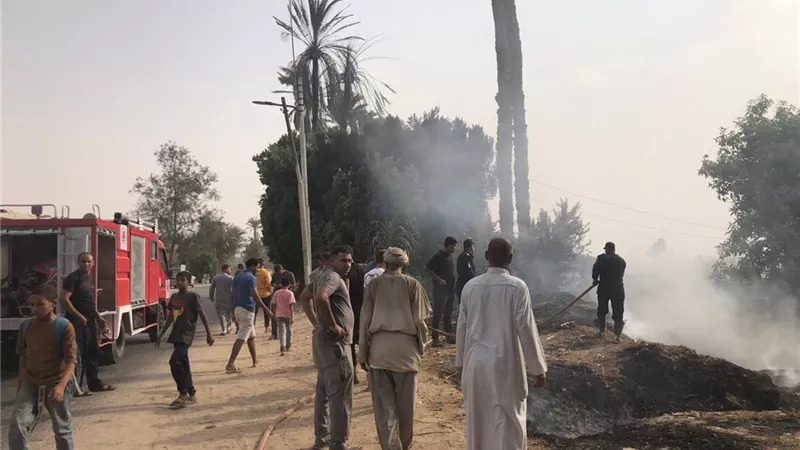 بالصور.. نشوب حريق في 4 أحواش مخصصة لتربية المواشي بسوهاج