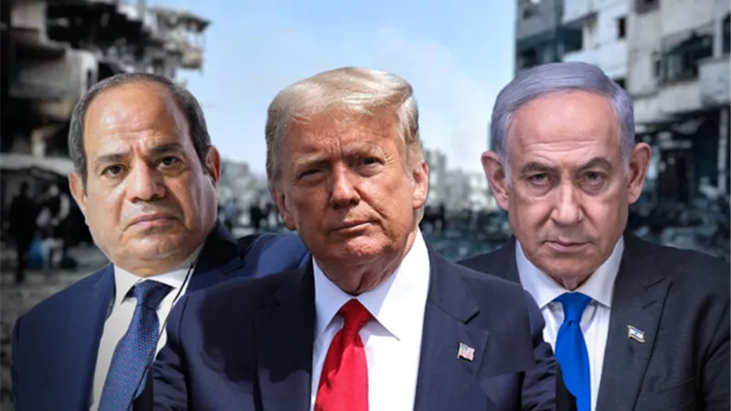 محلل سياسي: تحركات السيسي الدولية تؤكد ثبات الموقف المصري في دعم قضية فلسطين